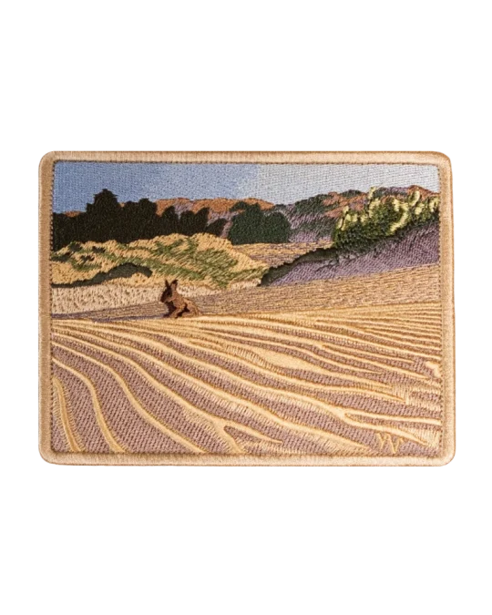 Oleshky Sands Patch