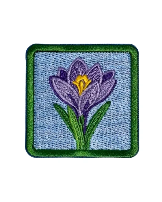 Crocus Patch