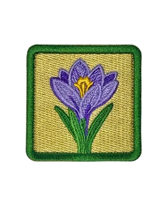 Crocus Patch
