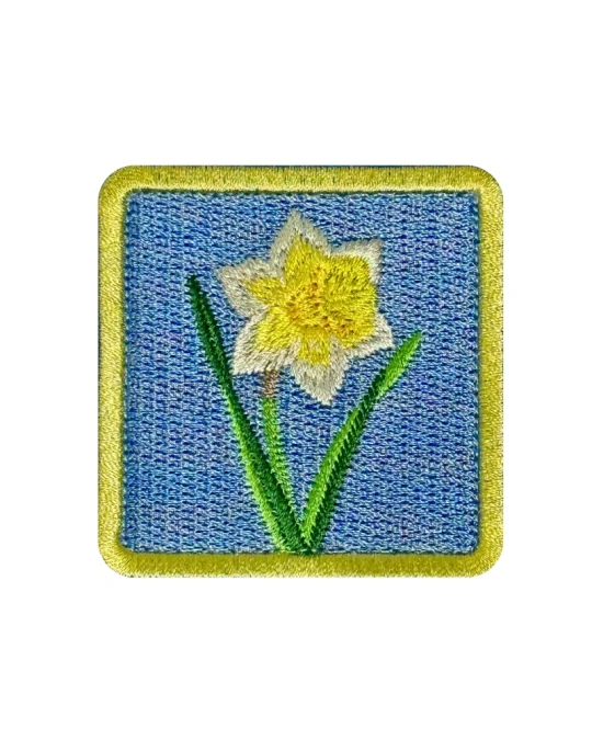 Daffodil Patch