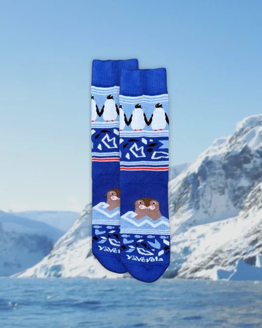 Vacation in Antarctica Socks